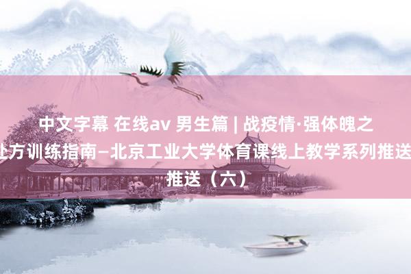 中文字幕 在线av 男生篇 | 战疫情·强体魄之开采处方训练指南—北京工业大学体育课线上教学系列推送（六）