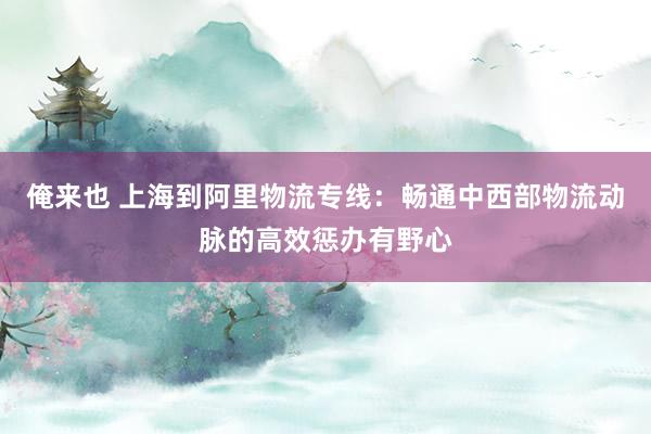 俺来也 上海到阿里物流专线：畅通中西部物流动脉的高效惩办有野心