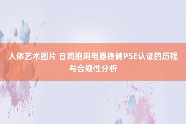 人体艺术图片 日同胞用电器稳健PSE认证的历程与合规性分析