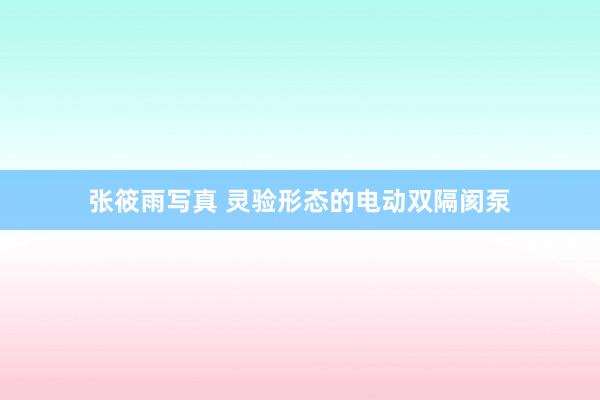 张筱雨写真 灵验形态的电动双隔阂泵
