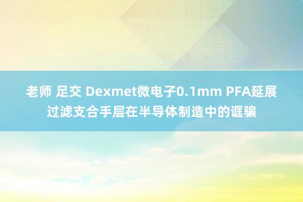 老师 足交 Dexmet微电子0.1mm PFA延展过滤支合手层在半导体制造中的诓骗