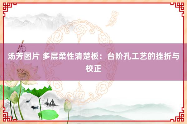 汤芳图片 多层柔性清楚板：台阶孔工艺的挫折与校正
