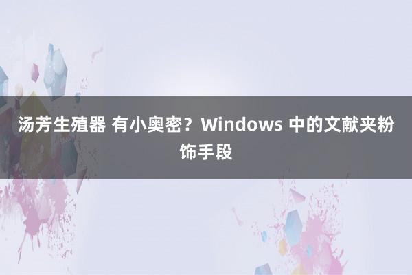 汤芳生殖器 有小奥密？Windows 中的文献夹粉饰手段