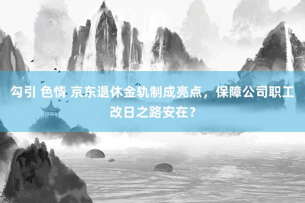 勾引 色情 京东退休金轨制成亮点，保障公司职工改日之路安在？