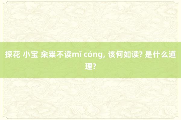 探花 小宝 籴粜不读mǐ cóng, 该何如读? 是什么道理?