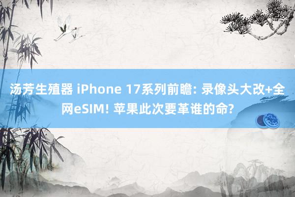 汤芳生殖器 iPhone 17系列前瞻: 录像头大改+全网eSIM! 苹果此次要革谁的命?