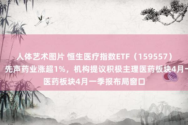 人体艺术图片 恒生医疗指数ETF（159557）溢价往复明显，先声药业涨超1%，机构提议积极主理医药板块4月一季报布局窗口